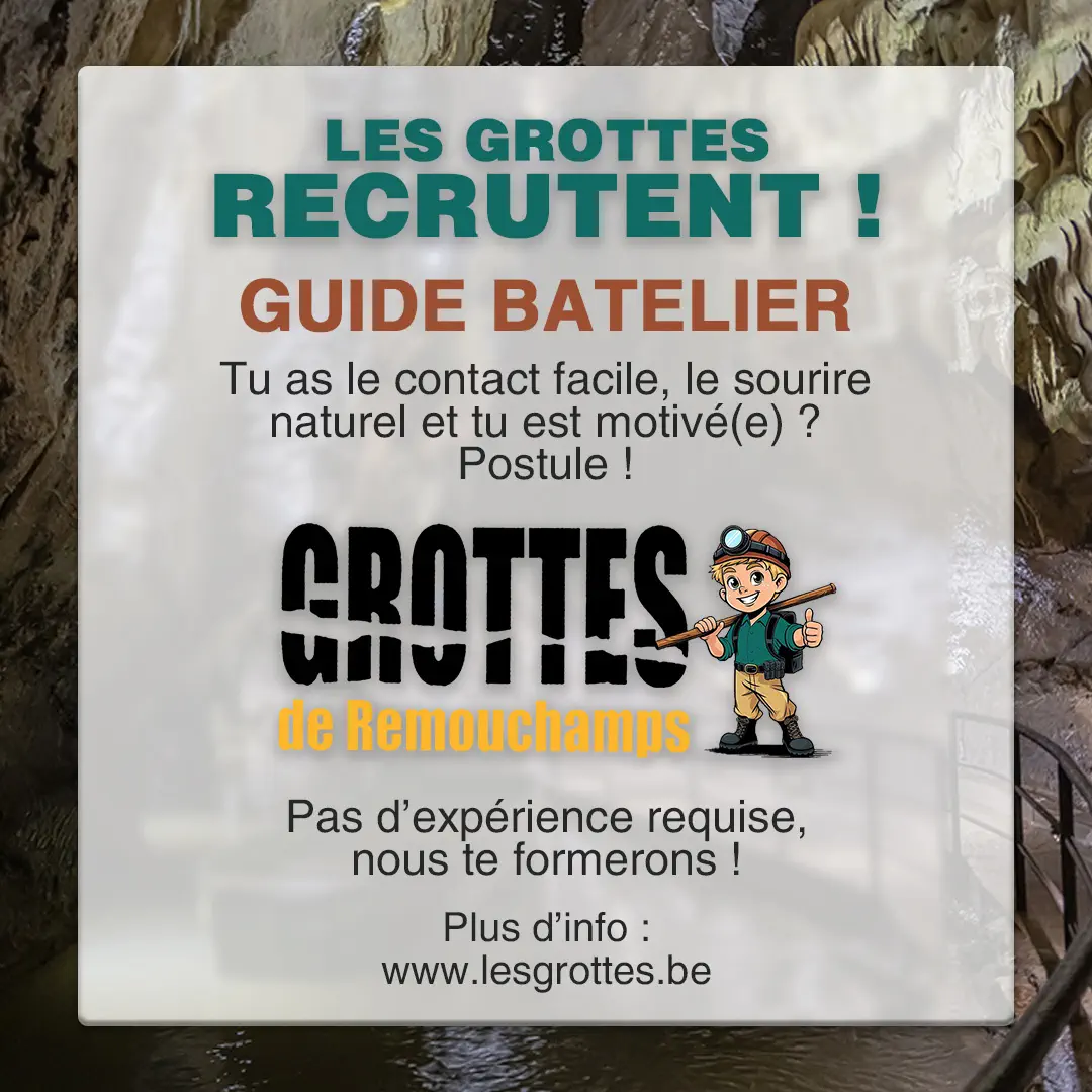 Offre d’emploi final