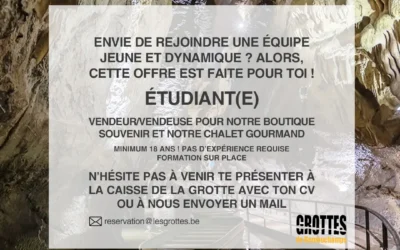Offre d’emploi Etudiant(e)